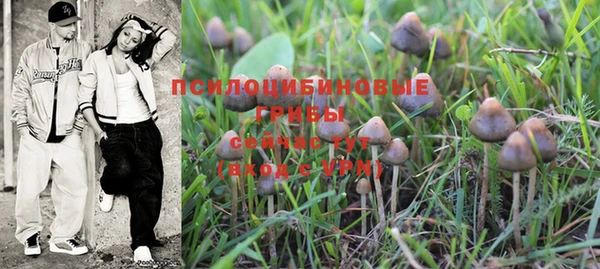 бошки Богданович