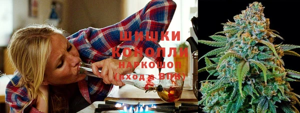 бошки Богданович