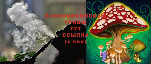 COCAINE Богородицк